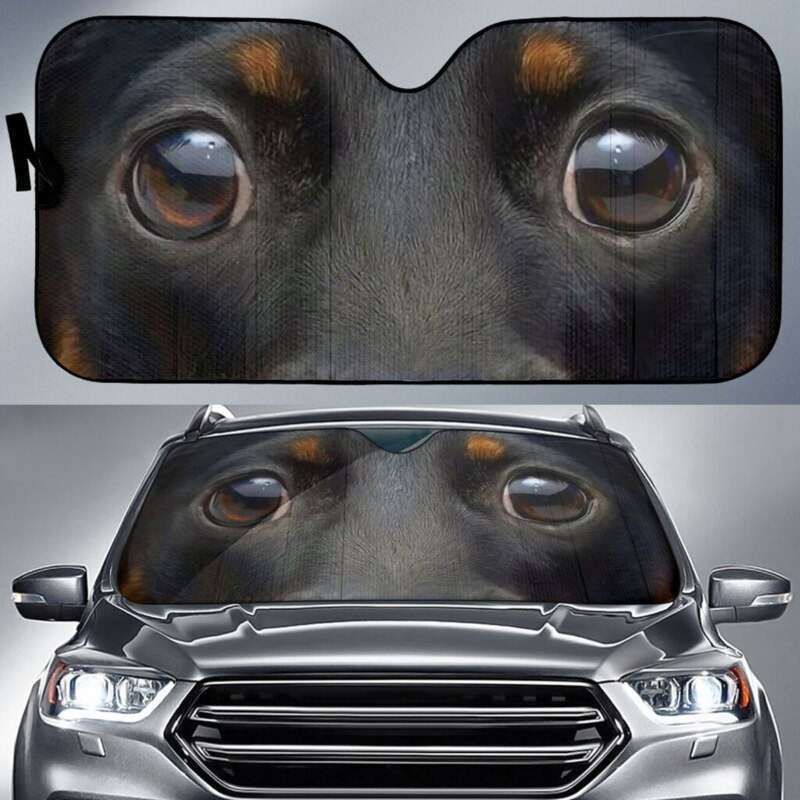 Animal Eyes