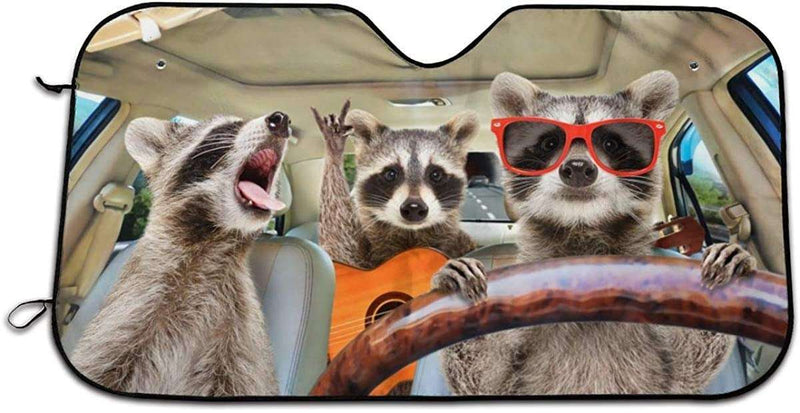 Raccoons