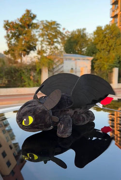 NEW! Toothless & Light Fury on Car/Moto