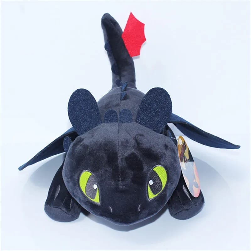 NEW! Toothless & Light Fury on Car/Moto