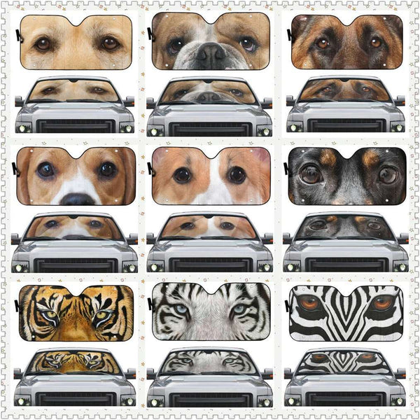 Animal Eyes