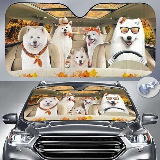 Samoyed Family